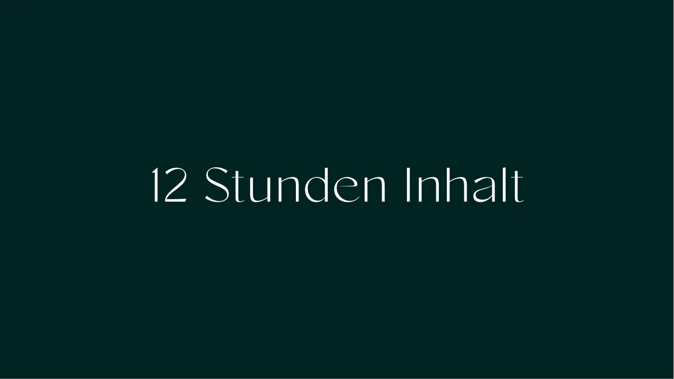 12 Stunden Inhalt